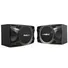 Loa Paramax P-1000