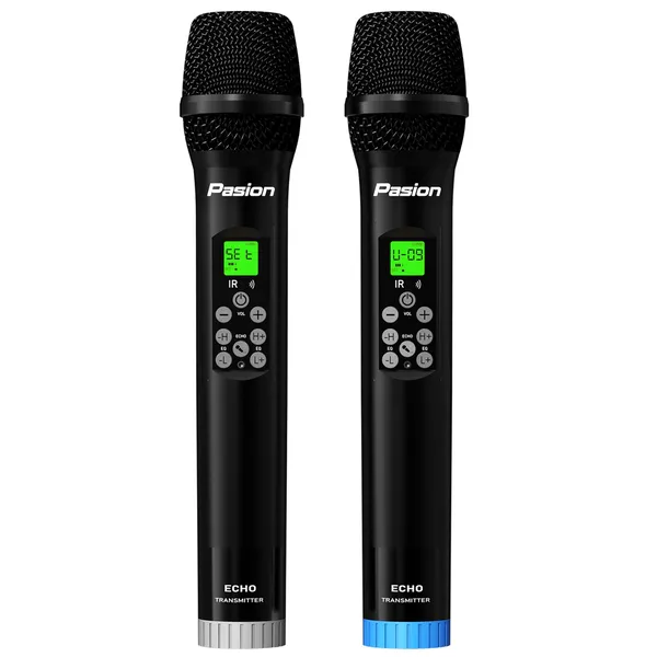 Micro Không Dây Tích Hợp DSP PASION ECHO