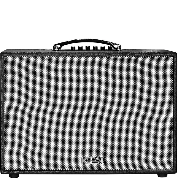 Loa Karaoke mini xách tay ACNOS CS250PU (Đen)
