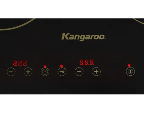 Bếp từ - hồng ngoại đôi Kangaroo KG499N 3100W-XOAWEB 3