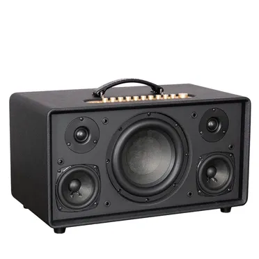 Loa Karaoke Xách Tay Acnos FLAC 36 Ver2 200W 5