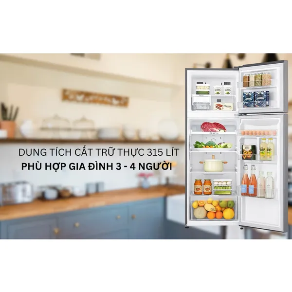 Tủ Lạnh LG Inverter 333 Lít GN-M315PS