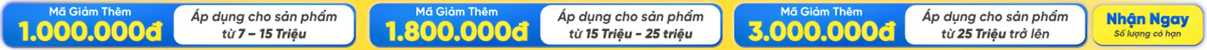 Đại Tiệc Voucher Online - Nhận Ưu Đãi Ngập Tràn từ Điện Máy Chợ Lớn
