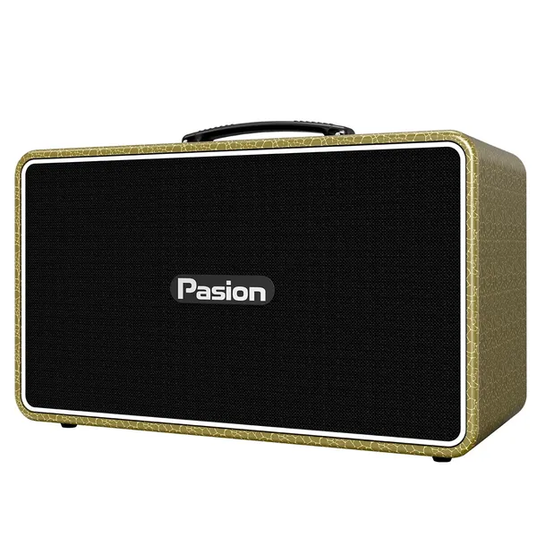 Loa Di Động Xách Tay Paramax PASION Arte (Golden Olive)