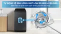 Máy Giặt Samsung Inverter 9.5 Kg WA40F95E1CSV
