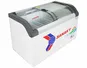 Tủ Đông Sanaky 350 Lít VH-4899KB