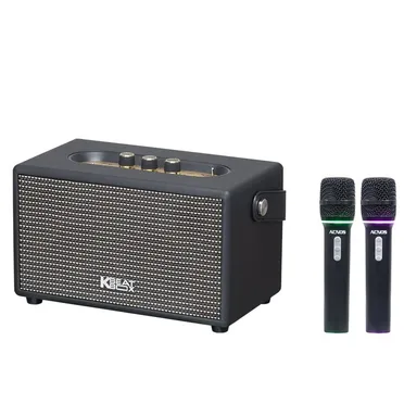 Loa Karaoke Xách Tay Acnos S30 1