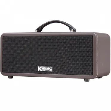 Dàn Âm Thanh Di Động ACNOS KS362S 2
