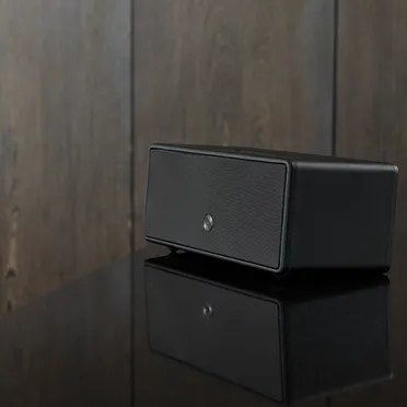 Loa Audio Pro D-1 1