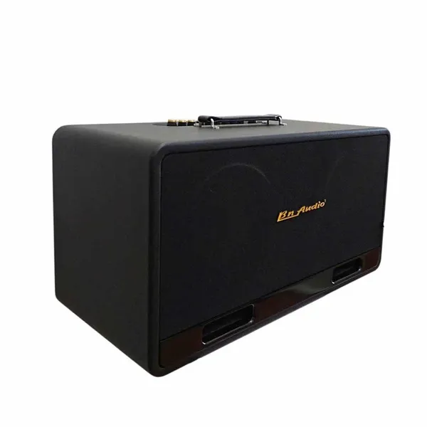 Loa Karaoke Xách Tay BN Audio BA 5500 VII