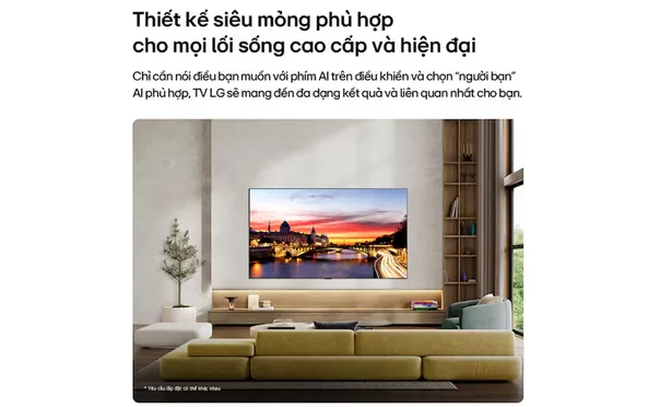 Smart Tivi LG OLED AI 4K 65 Inch OLED65C6PSA 16