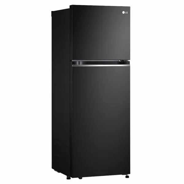 Tủ Lạnh LG Inverter 243 Lít GV-B242BL