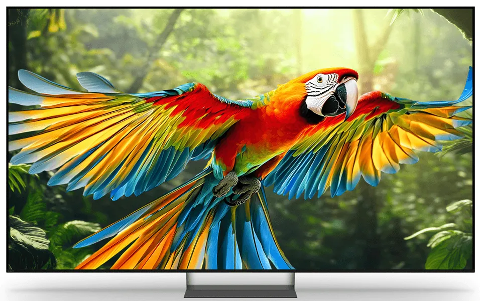 Google TiVi True RGB Sony 75 Inch BRAVIA 7 II K-75XR70M2