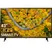 LG Smart Tivi 4K 55 Inch 55UP7550PTC 0
