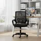 Ghế văn phòng ECO103 đen