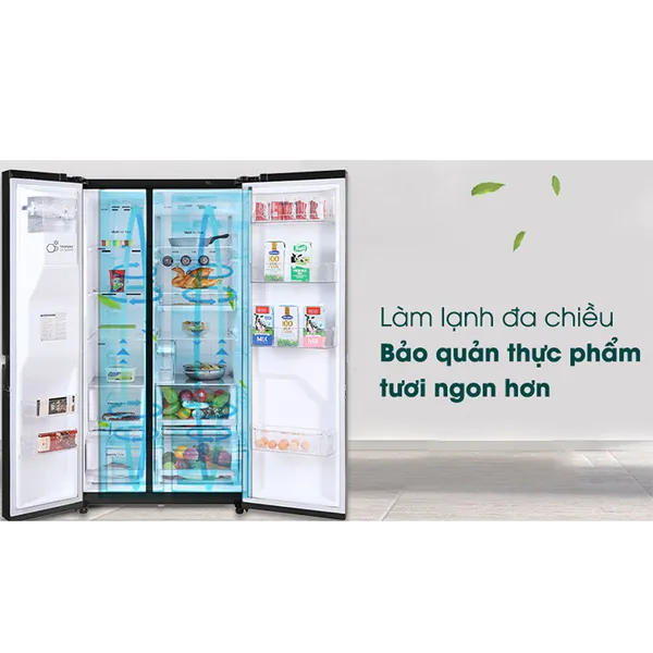 Tủ Lạnh LG Inverter 601 Lít GR-D247MC