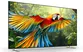 Google TiVi True RGB Sony 98 Inch BRAVIA 7 II K-98XR70M2 2