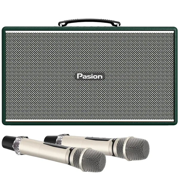 Loa Di Động Xách Tay Paramax PASION Enzo (Green Leather)