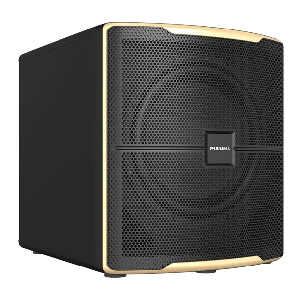 Loa Paramax Z-Sub