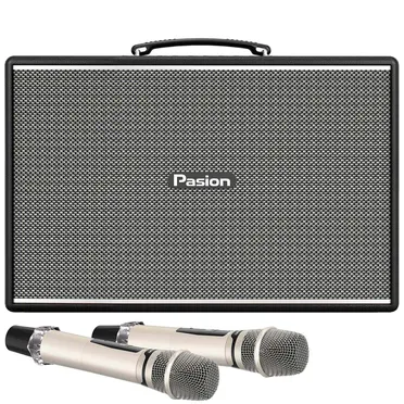 Loa Di Động Xách Tay Paramax PASION Mozo (Màu Đen)