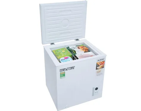Tủ Đông Hòa Phát 66 Lít HPF AN666 5