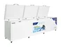 Tủ Đông Hòa Phát 1190 Lít HPF AD61190