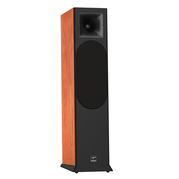 Loa Nghe Nhạc và Karaoke Hi-Fi PARAMAX EURO 8 Limited (Calvados)