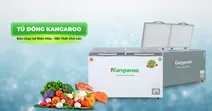 Top 4 tủ đ&ocirc;ng Kangaroo b&aacute;n chạy tại Si&ecirc;u Thị Điện M&aacute;y - Nội Thất Chợ Lớn