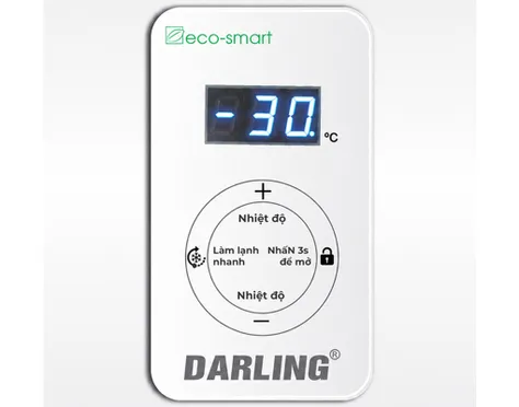 Tủ Đông Darling Inverter 1000 Lít DMF-9079ASKI 2