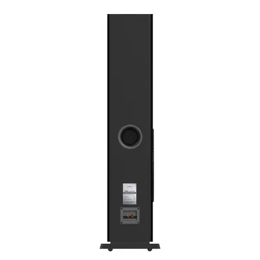 Loa Đứng PARAMAX D88 Limited (Walnut) 2