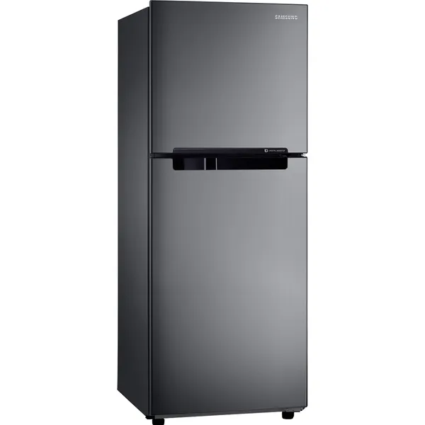 Tủ Lạnh Samsung Inverter 208 Lít RT19M300BGS/SV