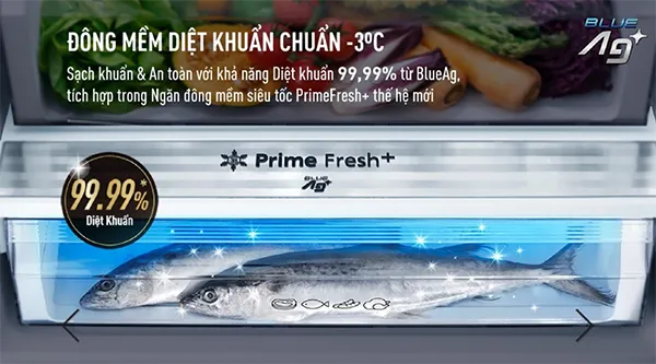 Công nghệ bảo quản thực phẩm thường thấy trên tủ lạnh Panasonic