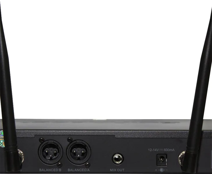 Micro Guinness MU-300i