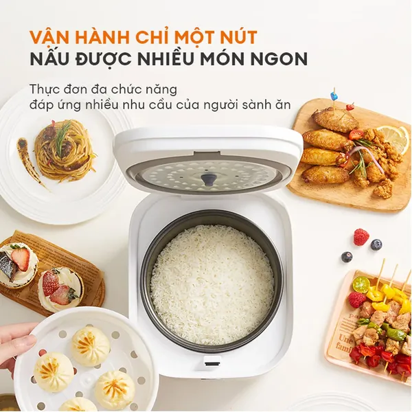 Nồi Cơm Điện Gaabor GR-S25D