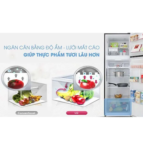 Tủ Lạnh LG Inverter 272 Lít GN-M255BL