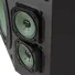Loa Paramax P-1000
