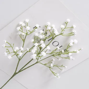 Nhánh Hoa Baby ECOFF6 Trắng