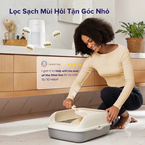 Máy Lọc Không Khí Levoit Core Mini Pro