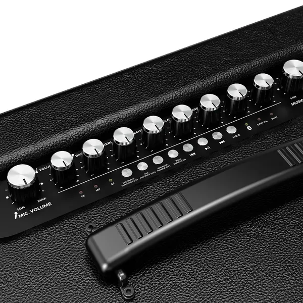 Loa Karaoke Di Động Xách Tay Paramax PASION Evo (Black Leather)