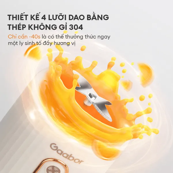 Máy Xay Sinh Tố Cầm Tay Gaabor FP03T-WH01A