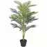 Chậu Cây Cau Vàng JWS2833