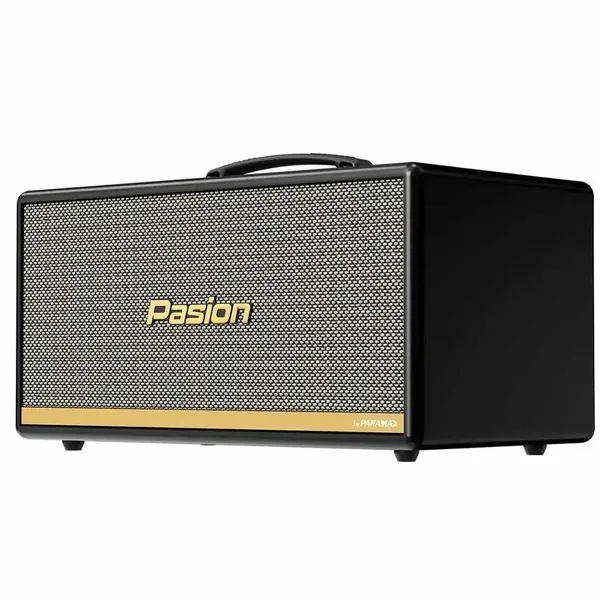 Loa Di Động Xách Tay Paramax PASION 2c (Màu Đen)