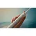Bàn Chải Đánh Răng Điện Philips Sonicare HX4043/41 2