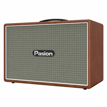 Loa Karaoke Di Động Xách Tay Paramax PASION Outro ( Brown Leather) 1