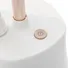 Bàn Ủi Hơi Nước Đứng Panasonic NI-GSG060WRA