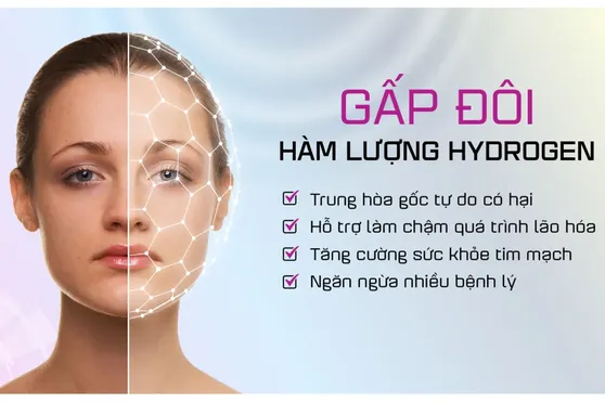 Máy Lọc Nước Điện Giải iON Kiềm Hydrogen Nóng Lạnh Nguội Mutosi MP-P89K 9 Lõi 3 Tấm Điện Cực 11