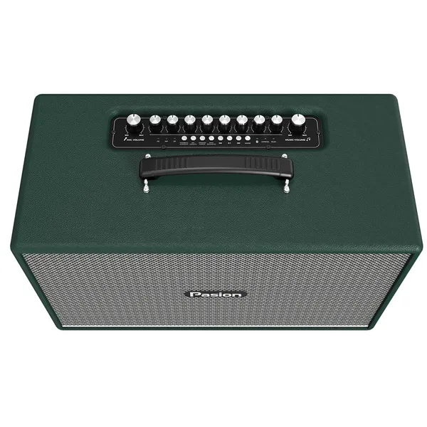 Loa Di Động Xách Tay Paramax PASION Enzo (Green Leather)