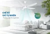 Quạt Trần 5 Cánh Sunhouse Apex APF7668W 60W