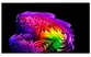 Smart Tivi LG OLED AI 4K 97 Inch OLED97G6PSA
