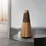 Loa Bluetooth B&O Beosound 2 Bronze 3
